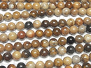 [Video]Petrified Wood Round 8mm half or 1strand beads (aprx.15inch/37cm)