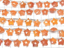 [Video]High Quality Carnelian AAA- Faced Star 10x10mm 1strand (8pcs )