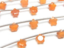 [Video]High Quality Carnelian AAA- Faceted Star 6x6mm 1strand (8pcs)
