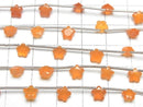 [Video]High Quality Carnelian AAA- Faceted Star 6x6mm 1strand (8pcs)