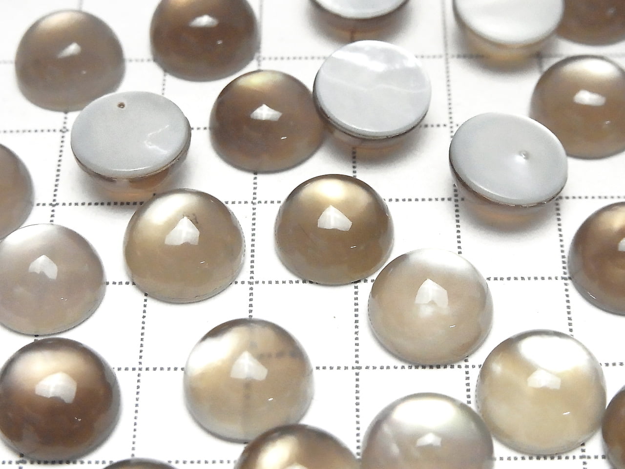 Weißes Muschel x Rauchquarz AAA Runde Cabochon 12x12mm 2 Stück