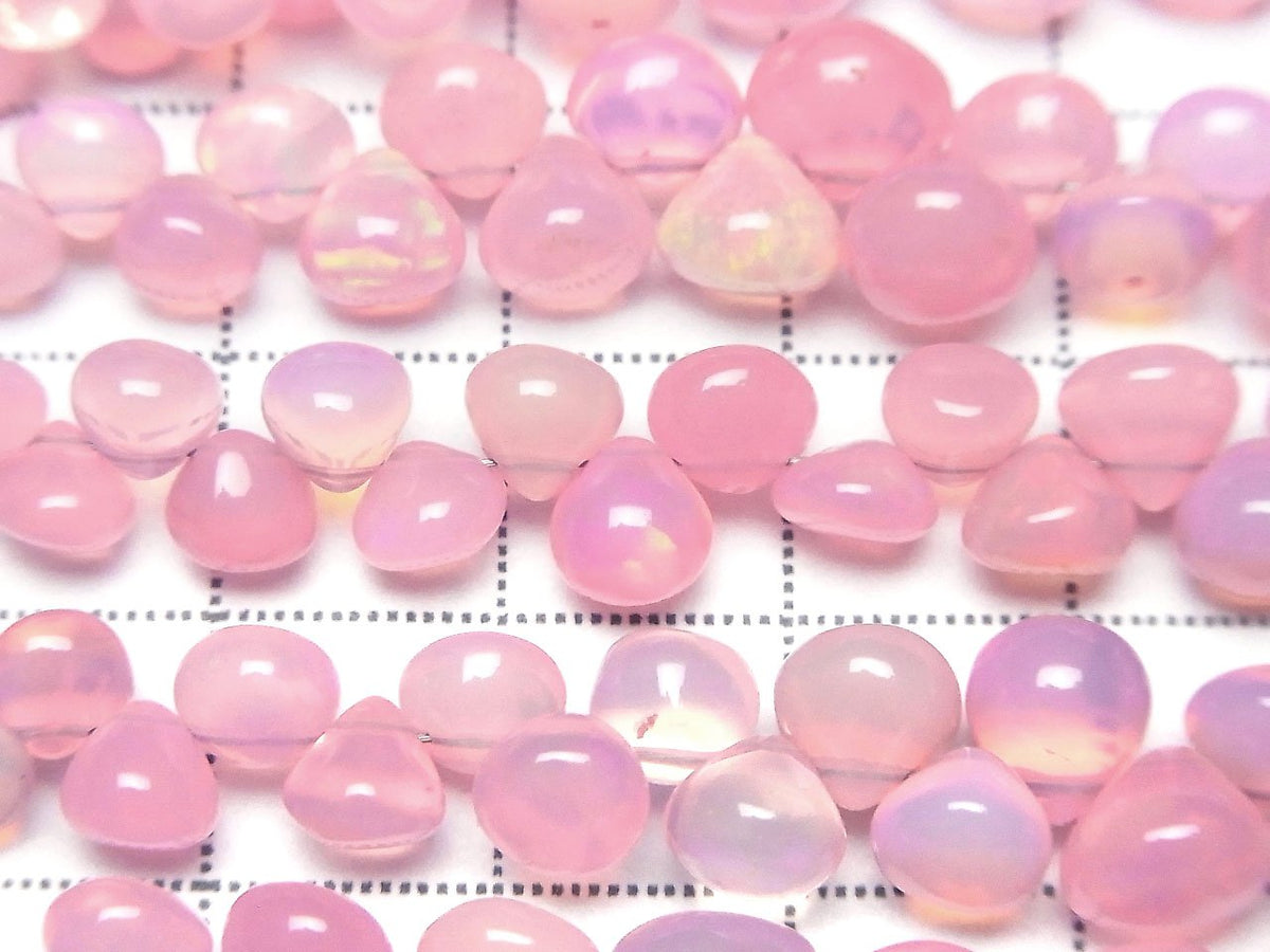 Äthiopischer Rosa Opal Zwiebel (Glatt) halb oder 1strang (18cm)