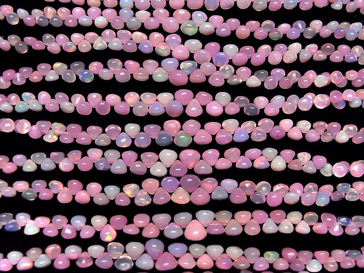 Äthiopischer Rosa Opal Zwiebel (Glatt) halb oder 1strang (18cm)