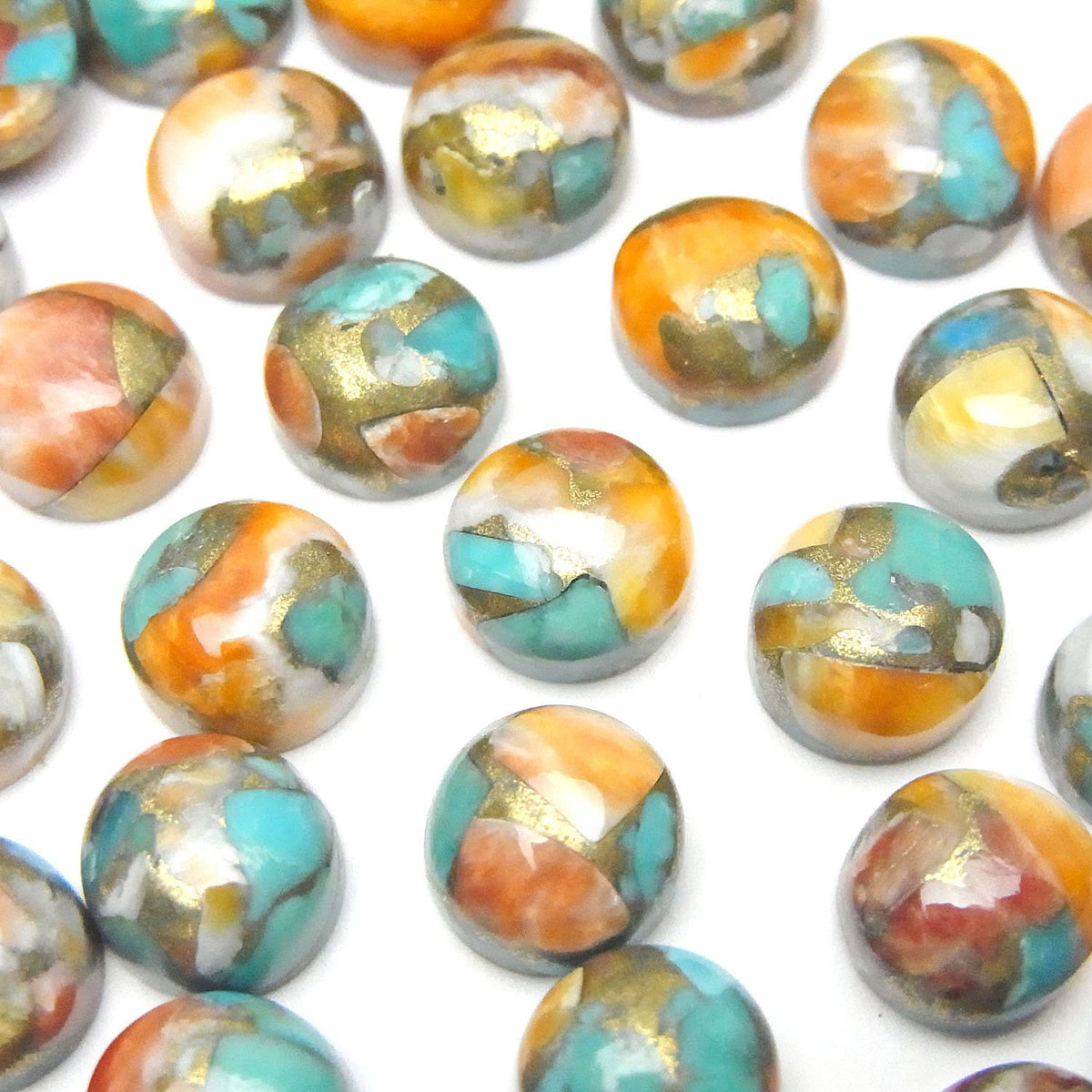 Austern-Kupfer-Türkis AAA rund Cabochon 8x8mm 3 Stück
