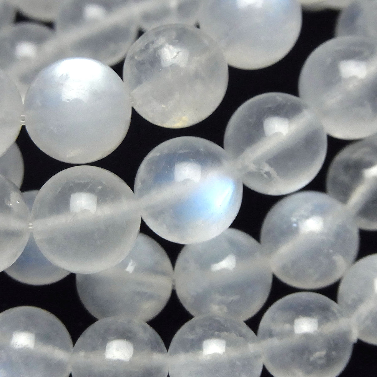 Pierre de lune bleue royale AA+ ronde 9-10mm 1 brin de perles (Bracelet)
