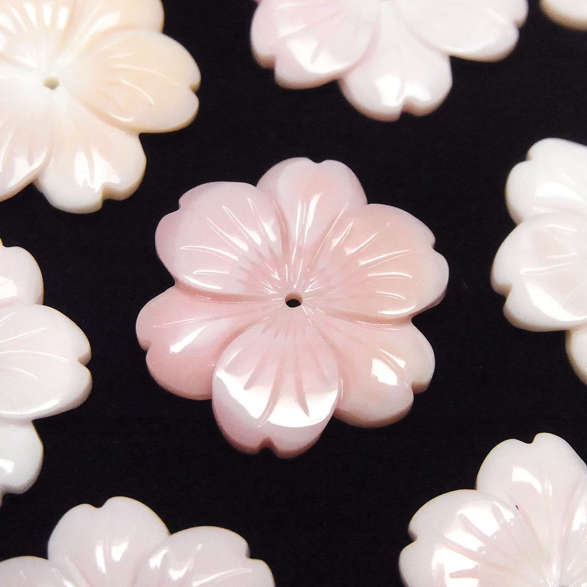 Coque de Conque Rose AAA Fleur 20mm Trou Central 1pc