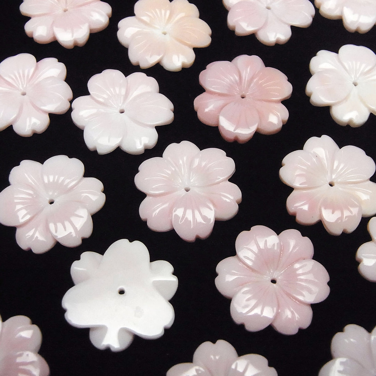 Coque de Conque Rose AAA Fleur 20mm Trou Central 1pc