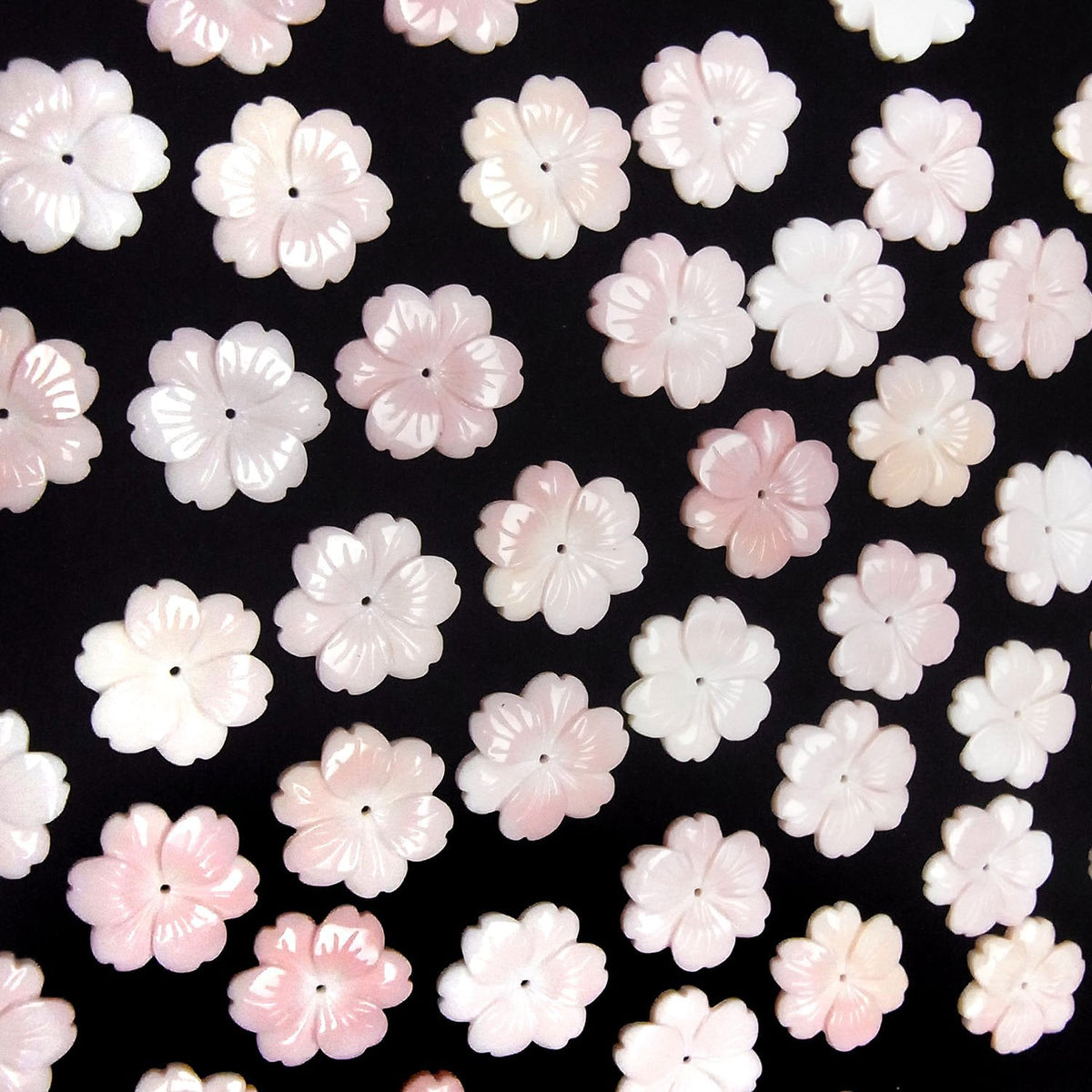 Coque de Conque Rose AAA Fleur 20mm Trou Central 1pc
