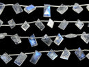 [Video] High Quality Rainbow Moonstone AA++ Fancy Shape Faceted half or 1strand beads (aprx.7inch / 18cm)