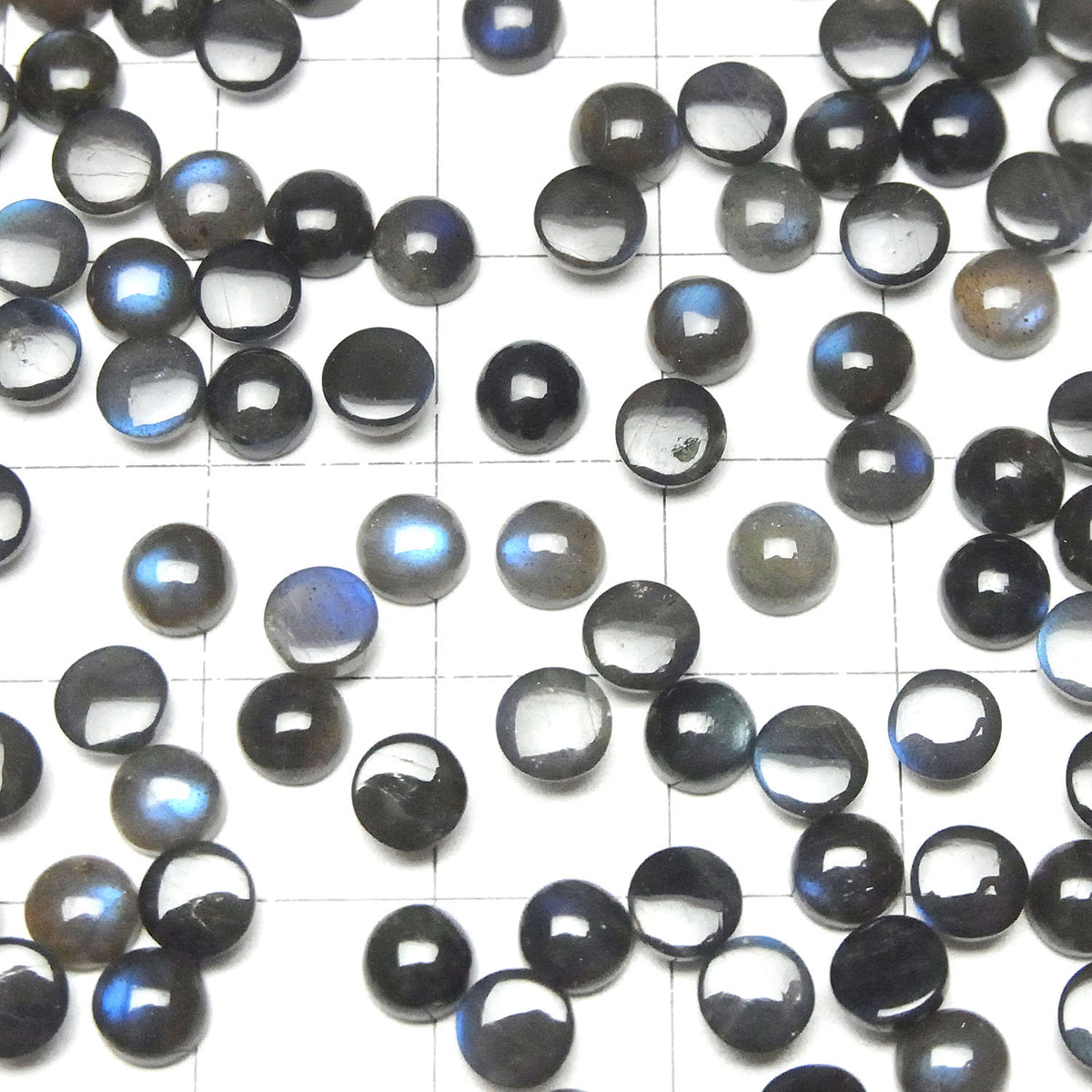 Labradorite Noire Haute Qualité AAA - Cabochon Rond 5x5mm 10pcs