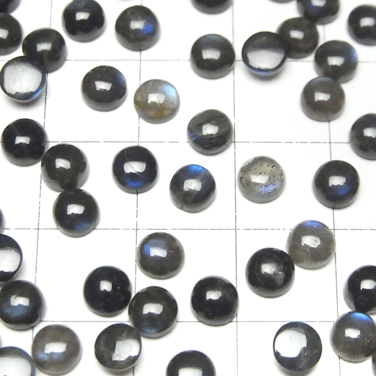 Labradorite Noire Haute Qualité AAA - Cabochon Rond 5x5mm 10pcs