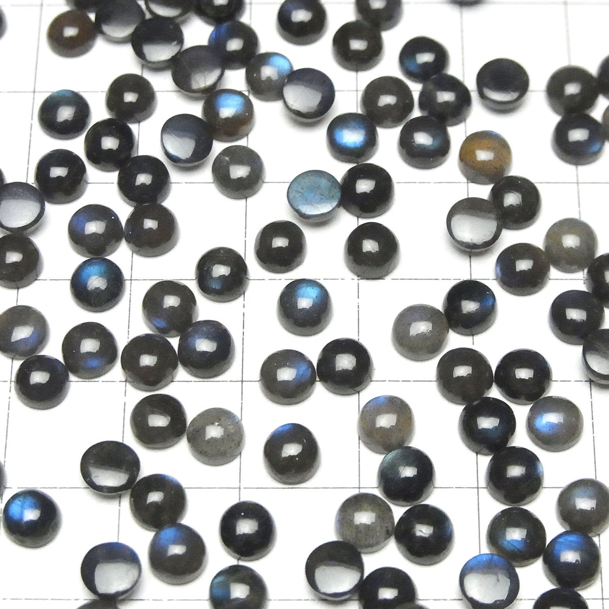 Labradorite Noire Haute Qualité AAA - Cabochon Rond 5x5mm 10pcs