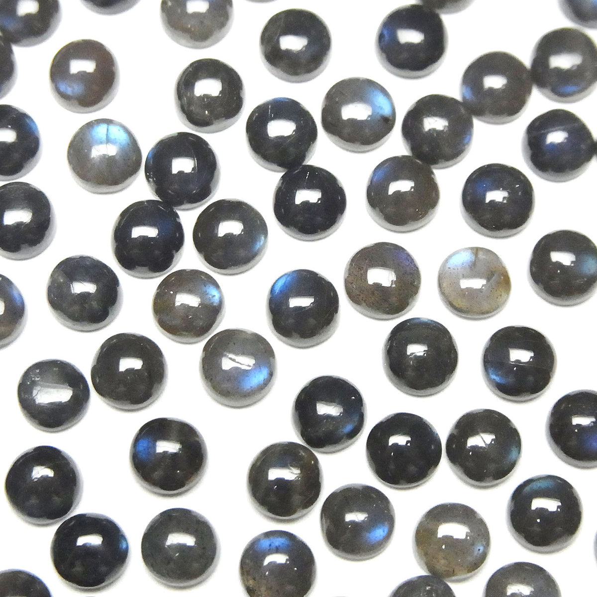 Labradorite Noire Haute Qualité AAA - Cabochon Rond 5x5mm 10pcs