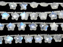 [Video]High Quality Rainbow Moonstone AA++ Faceted Star 8x8mm 1strand (8pcs )