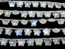 [Video]High Quality Rainbow Moonstone AA++ Faceted Star 8x8mm 1strand (8pcs )