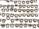 [Video] High Quality Smoky Quartz AAA Faceted Star 10x10mm 1strand (9pcs)