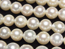 [Video] Japanese Akoya Pearl AAA- Semi Round 7.5-8mm White half or 1strand beads (aprx.15inch/38cm)