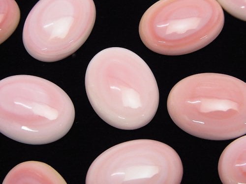 Queen Conch Shell AAA Oval Cabochon 20x15mm 1pc