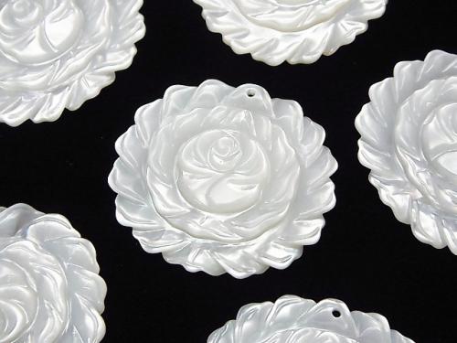 Sale! White Shell (Silver-lip Oyster) AAA Rose 28 x 31 mm 1 pc $5.79