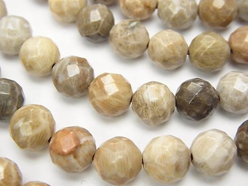 Fossil Coral  64Faceted Round 8mm half or 1strand (aprx.15inch/38cm)