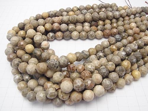 Fossil Coral  64Faceted Round 10mm half or 1strand (aprx.15inch/38cm)