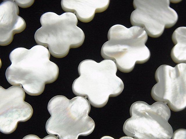 [Video] White Shell AAA Flower Motif 14x14x3mm 1/4 or 1strand beads (aprx.15inch / 37cm)