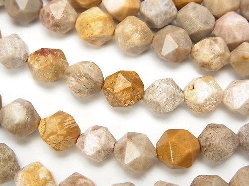 Fossil Coral  24Faceted Round 8mm 1strand beads (aprx.15inch/36cm)