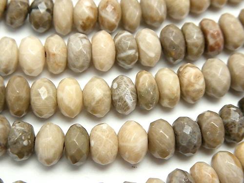 Fossil Coral  Faceted Button Roundel 8x8x5mm half or 1strand (aprx.15inch/38cm)