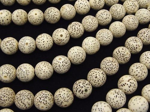 Linden (Bodhi tree) seed bead Round (Semi Round) 10 mm half or 1 strand (aprx.15 inch / 36 cm)