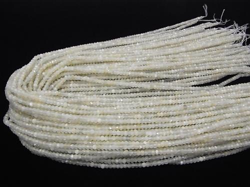 Diamond Cut! 1strand $9.79! White Moon Stone AAA - Faceted Button Roundel 3 x 3 x 2 mm 1strand (aprx.15 inch / 38 cm)