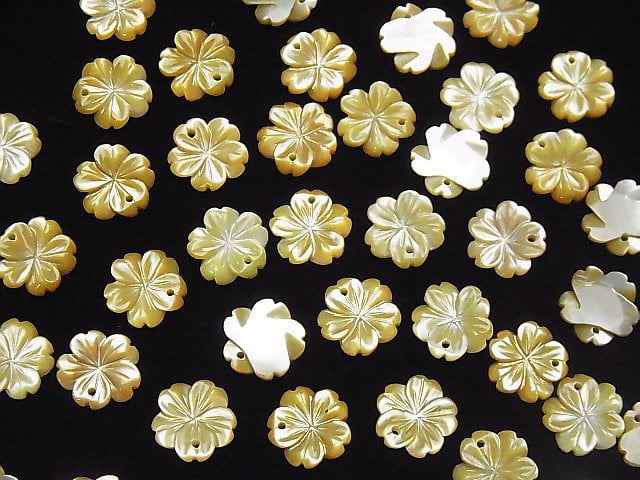 [Video] High Quality Yellow Shell AAA Flower 10mm 4pcs