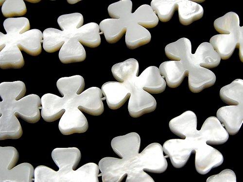 High quality White Shell (Silver-lip Oyster) Flower motif 15 x 15 x 3 mm 1/4 or 1strand (aprx.15 inch / 37 cm)