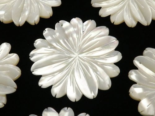 [Video] High Quality White Shell AAA Marguerite (Flower) 40mm 1pc