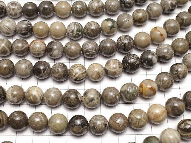 Fossil Coral  Round 12mm half or 1strand beads (aprx.15inch/36cm)