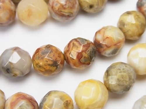Crazy lace agate 64 Faceted Round 10 mm half or 1 strand (aprx.15 inch / 38 cm)