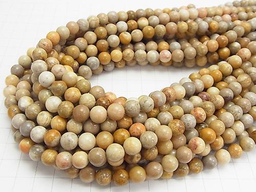 1strand $5.79! Fossil Coral  Round 8mm 1strand (aprx.15inch/38cm)