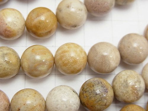 Fossil Coral  Round 10mm 1strand beads (aprx.15inch/37cm)