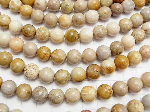 Fossil Coral  Round 10mm 1strand beads (aprx.15inch/37cm)