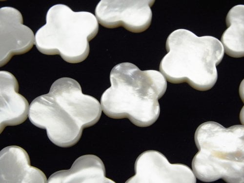 White Shell AAA flower motif 15x15x3mm 1/4 or 1strand beads (aprx.15inch/37cm)