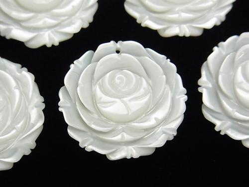 White Shell (Silver-lip Oyster) AAA Rose 25 mm 1 pc $7.79