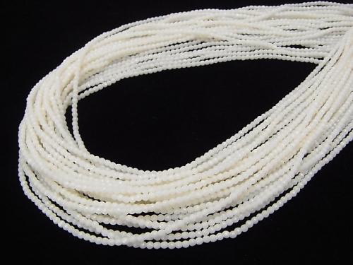 1strand $11.79! White Coral (white coral) Faceted Round 2mm 1strand (aprx.15inch / 38cm)