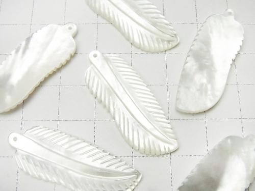 High Quality White Shell (Silver-lip Oyster) AAA feather Carving 35 x 13 mm 1 pc $2.79!