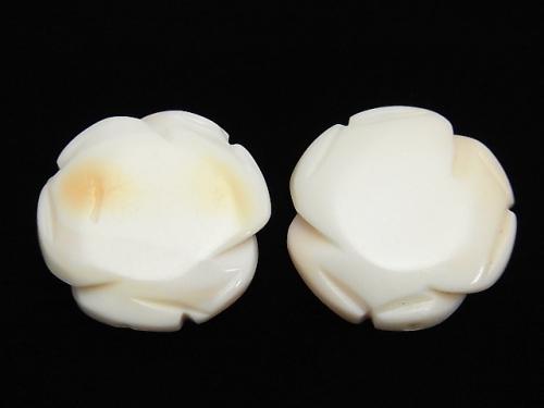 Queen Conch Shell AAA - Rose 20 mm [Drilled Hole] 1 pc $6.79!