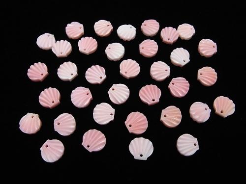 Queen Conch Shell AAA Shell Motif (both sides) [10mm] [12mm] 2pcs $3.19
