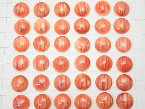Spiny Oyster Shell Round Cabochon 10x10x4mm 1pc $3.79!