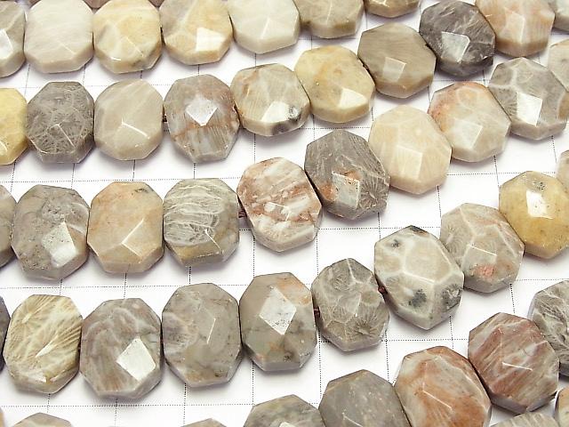 Fossil Coral  Flat Faceted Nugget  half or 1strand beads (aprx.15inch/37cm)