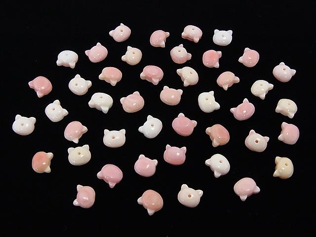 Queen Conch Shell AAA Cat Motif 7x6mm [Half Drilled Hole (Back)] 1pc $2.19!