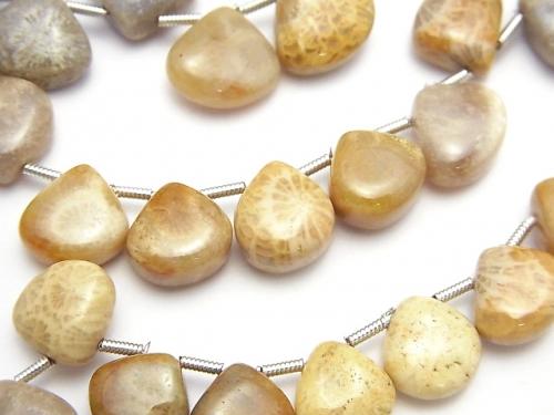 1strand $13.99Fossil Coral  Chestnut (Smooth)  1strand (aprx.7inch/18cm)