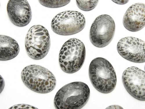 [Video] Morocco Black Fossil Coral Oval Cabochon 14x10mm 3pcs $7.79!