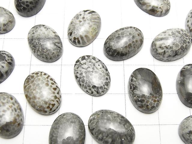 [Video] Morocco Black Fossil Coral Oval Cabochon 14x10mm 3pcs $7.79!